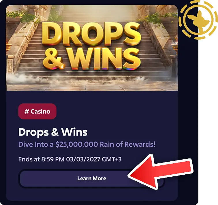 roobet bonus terms